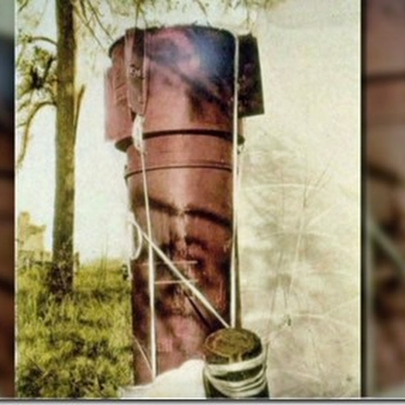 Informe desclasificado: dos bombas nucleares casi arrasan a Carolina del Norte