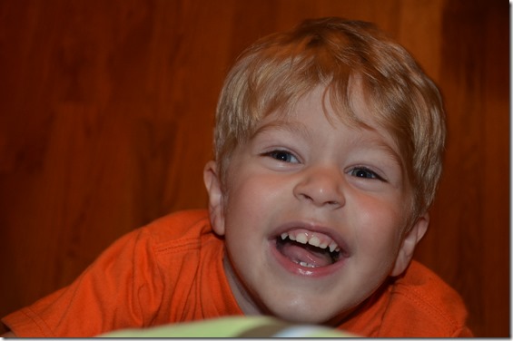 DSC_3750 DSC_3750