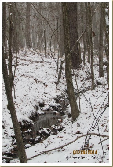 brook in the snow 2014