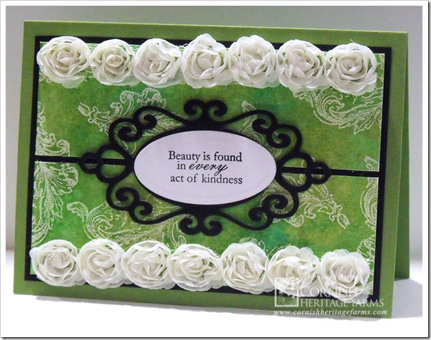 CHF-Ornamental-Beauty2-wm CHF-Ornamental-Beauty2-wm