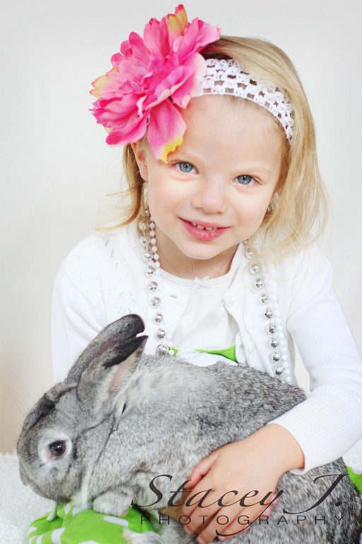 [bunny%2520005%2520copy%255B4%255D.jpg]