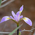 P1050428