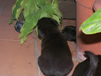 Immagine 014.jpg