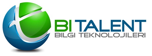 [bi_talent_logo_rectangle_m2%255B7%255D.jpg]