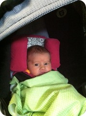 IMG_0229 IMG_0229