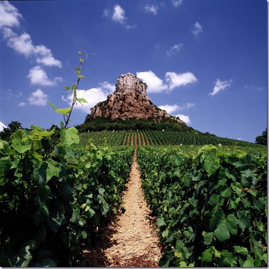 bourgogne-borgonha-vinho-e-delicias bourgogne-borgonha-vinho-e-delicias