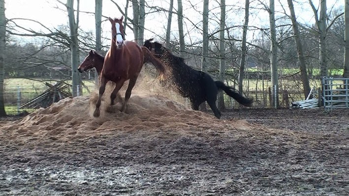 [20140208143700-%25286%2529%255B2%255D.jpg]