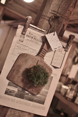 IMG_5804 IMG_5804