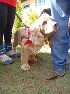[Patas21294%255B1%255D.jpg]