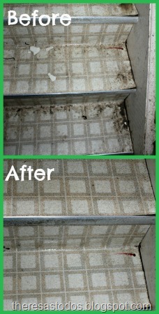 [Scrubbing%2520the%2520Basement%2520Stairs%255B2%255D.jpg]