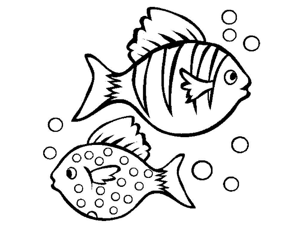 [Peces%2520colorear%2520Fishes%2520coloring%252009%255B3%255D.jpg]