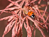 IMG_8364_bartuskn.nl.jpg