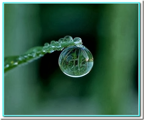 Gota de compromisso Gota de compromisso