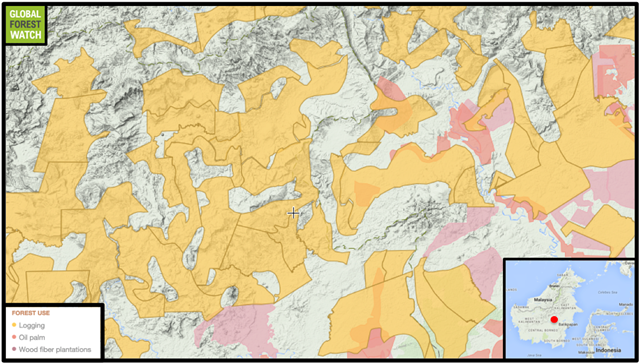 Global miner BHP Billiton and Indonesian partner PT Adaro are developing what could become the single largest mine in Indonesia in terms of land area. The IndoMet mine complex in Central and East Kalimantan provinces on Borneo comprises seven coal concessions, which cover 350,000 hectares, or about five times the size of Singapore. Graphic: Global Forest Watch