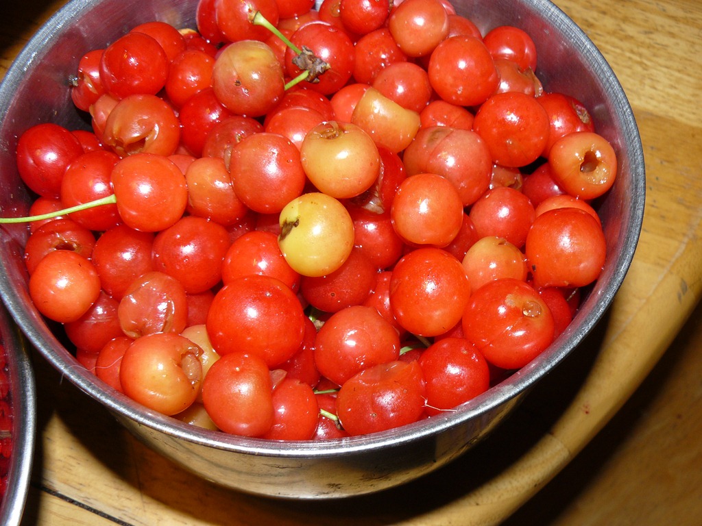 [cherries%252C%2520strawberries%252C%2520currants%2520021%255B3%255D.jpg]