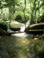 Fotos do evento Caiaque e ecoturismo no Tuim Parque. Foto numero 3807457255. Fotografia da Pousada Pe na Areia, que fica em Boicucanga, próximo a Maresias, Litoral Norte de Sao Paulo (SP).