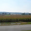 October 1 2007 039.jpg October 1 2007 039.jpg