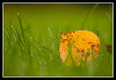 web_IMG_6159