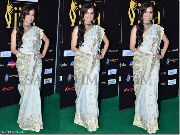 Dia_Mirza_White_Saree_IIFA_Awards