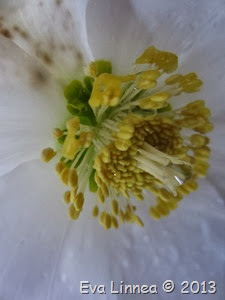 IMG_8541 IMG_8541