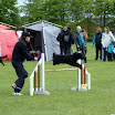 DSC00809.JPG