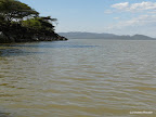 Baringosee