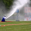 DSC_0175.NEF.jpg