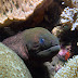 P7054803