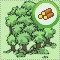 wood wood