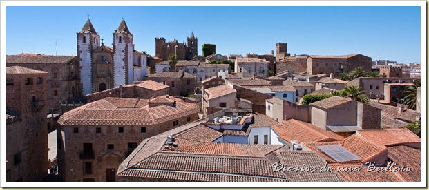 [Group 2]-Caceres-100_Caceres-101-2 images
