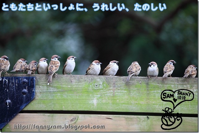 Blog Blog