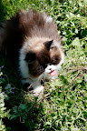 Euphoria in the Garden