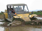 p1243807144(1).jpg