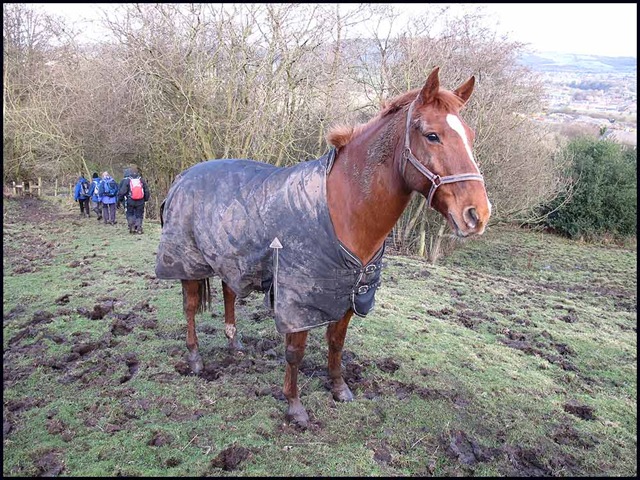 [1324horse2%255B3%255D.jpg]