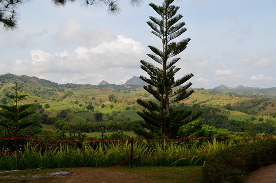 DSC_1058 DSC_1058