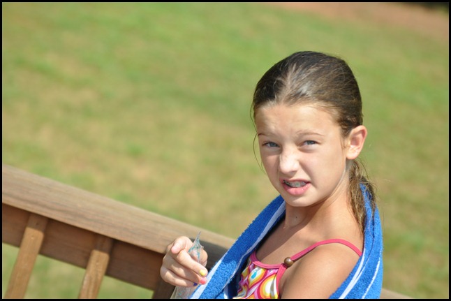 DSC_0833 DSC_0833