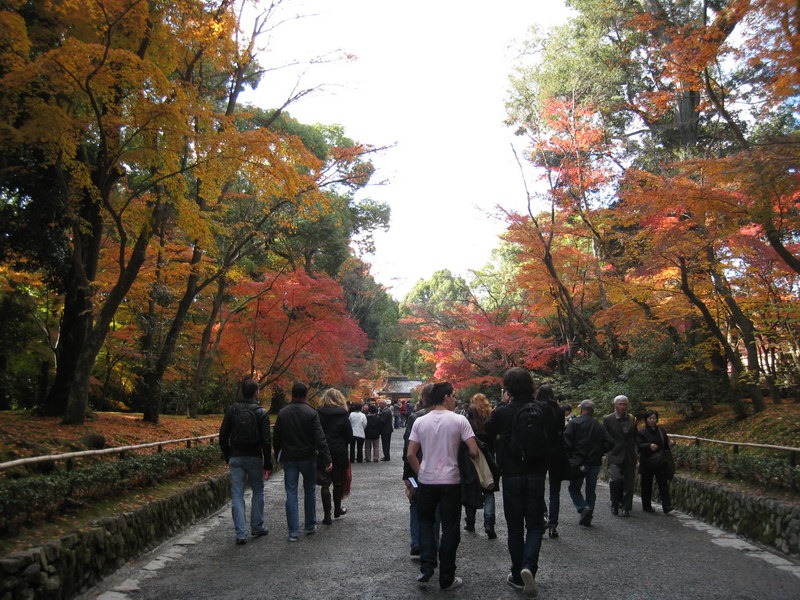 [IMG_1526_resize%255B5%255D.jpg]