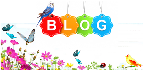 nosso blog um jardim nosso blog um jardim