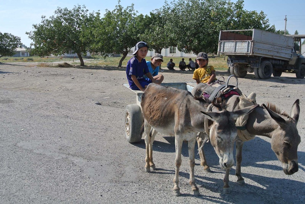 [DSC_6301%255B4%255D.jpg]