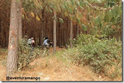 Caminhada-Incio Caminhada-Incio