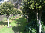 Aug 9 - Garden Walkway