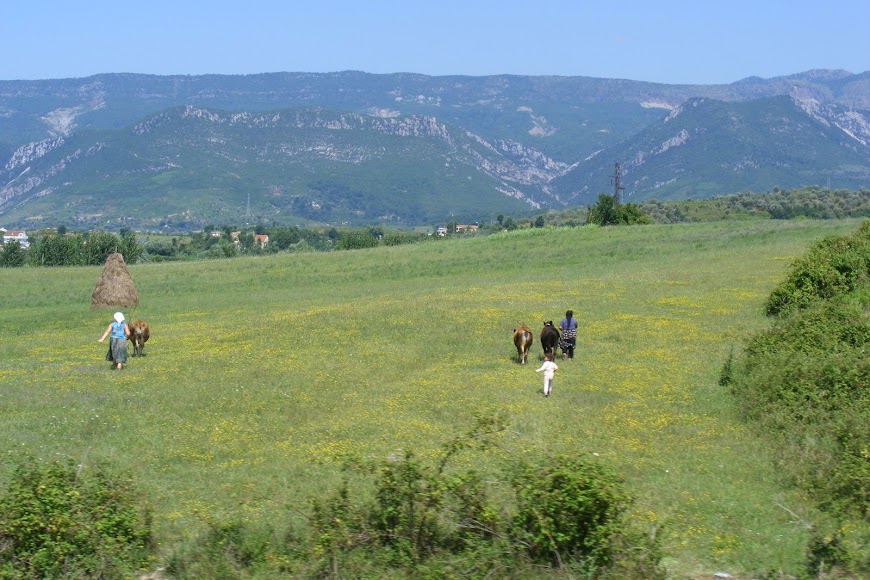 DSCF9769.JPG