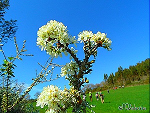 [SAM_0247%255B4%255D.jpg]