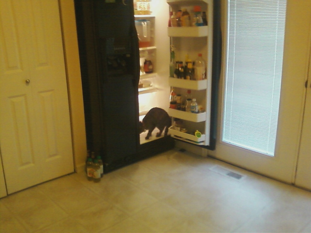 [fridge%255B5%255D.jpg]