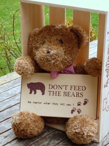 Going on a Bear Hunt Party Decor Going on a Bear Hunt Party Decor