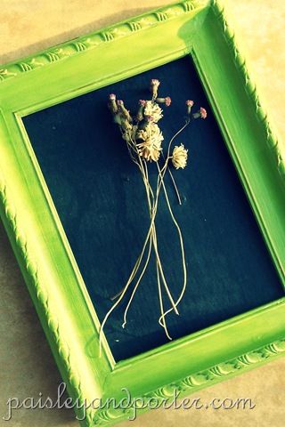 [DSCN1819-2%255B2%255D.jpg]