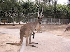 p1235399292(1).jpg