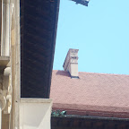 DSC05965.JPG