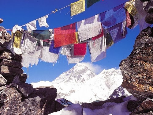 [419370_600%255B2%255D.jpg]