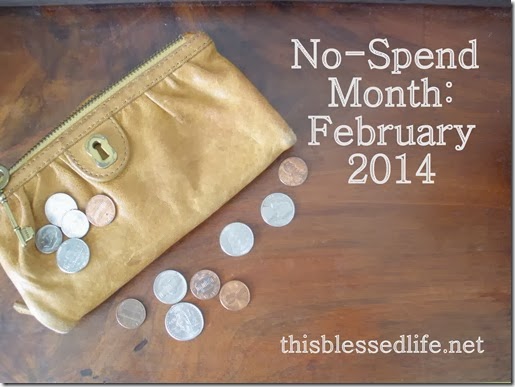 No-Spend Month {February 2014} 012
